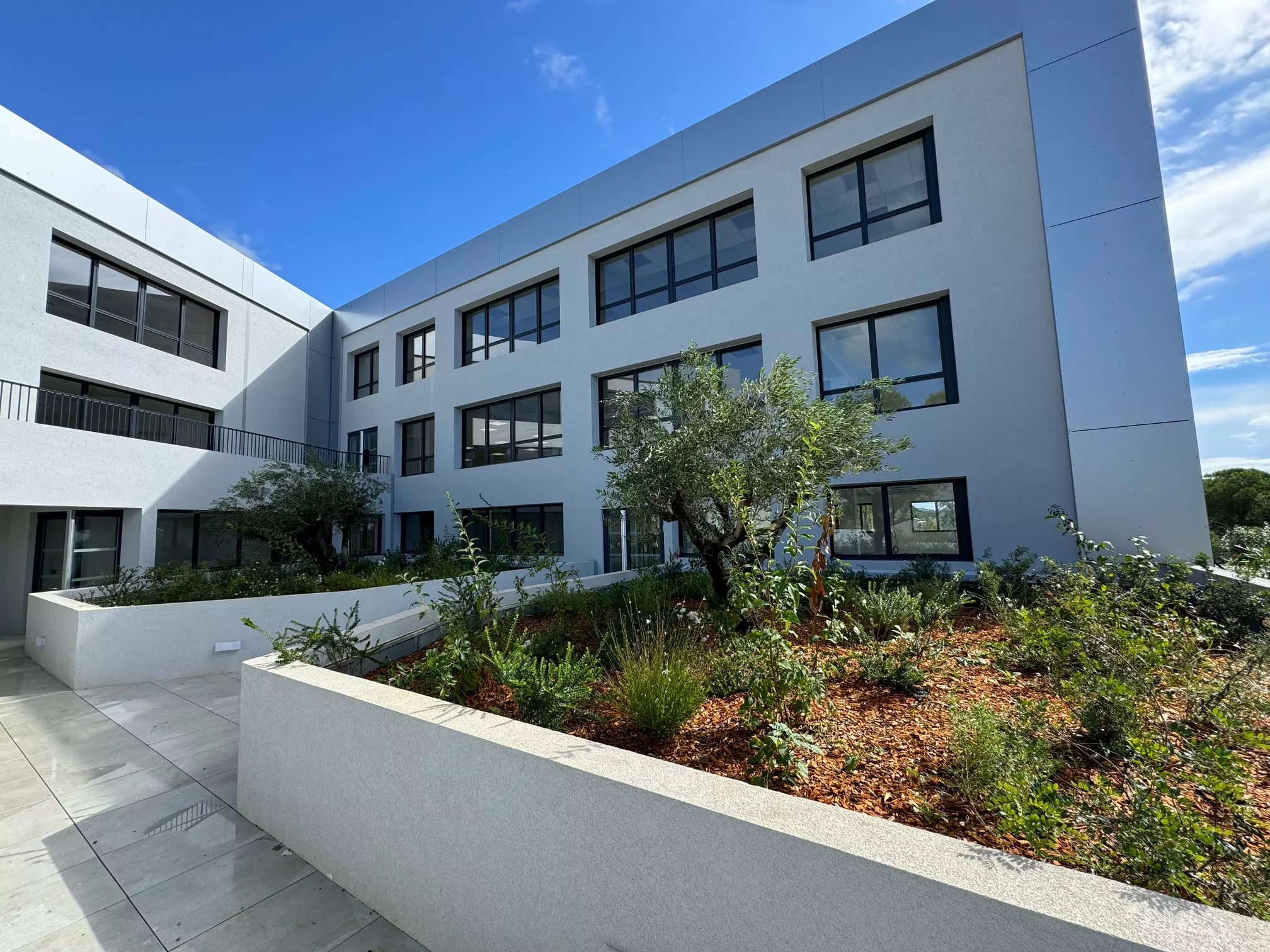 bureaux neufs Immeuble Green Horizon à Sophia Antipolis