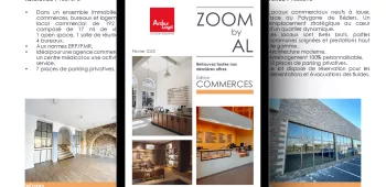 Zoom Locaux Commerciaux zoom-locuax-commerciaux