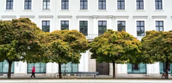 Immeuble tertiaire moderne dans un quartier arboré Une personne marche le long d'une façade d'immeuble moderne dans un quartier arboré